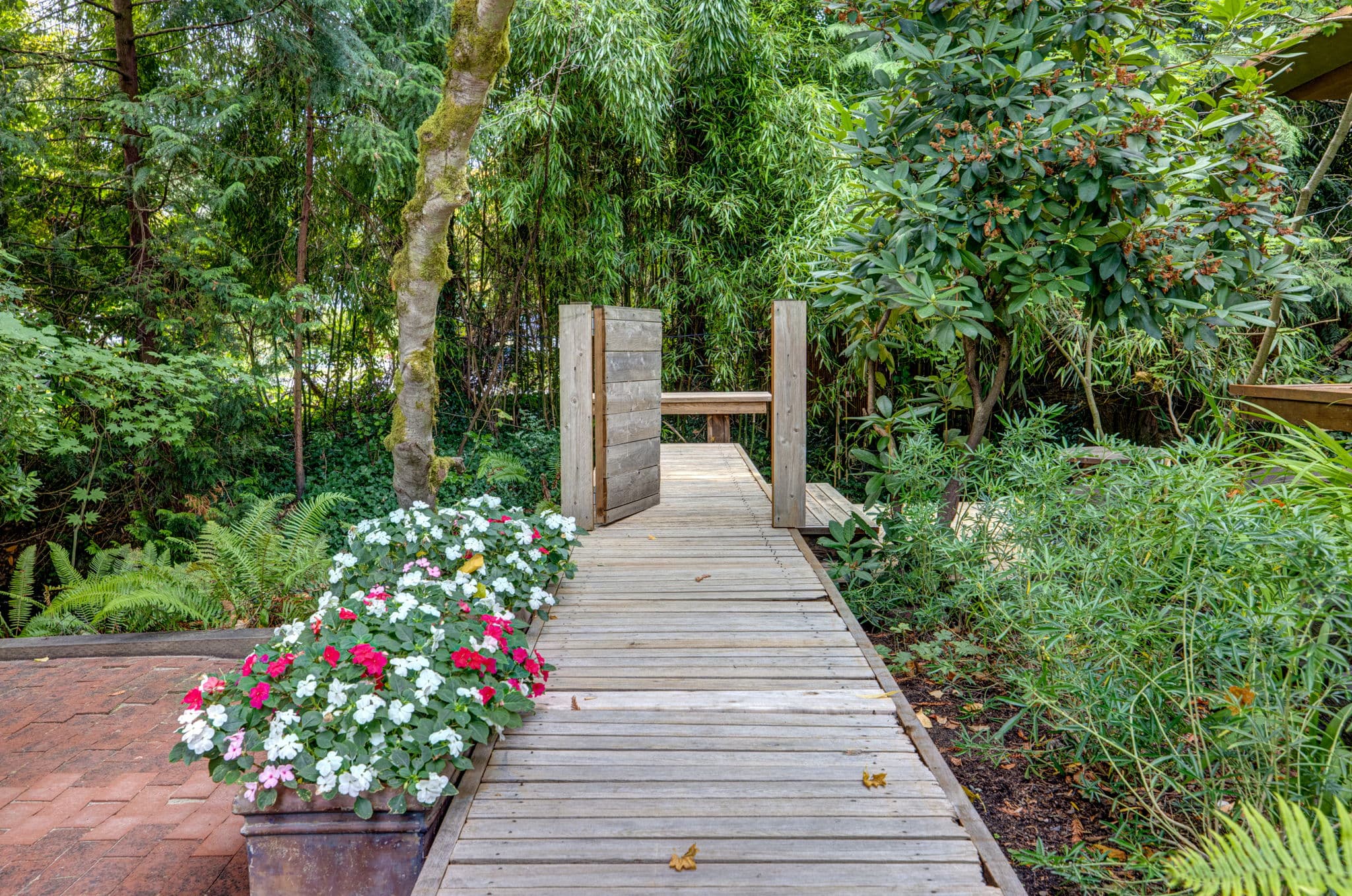 Boardwalk winding through the planting