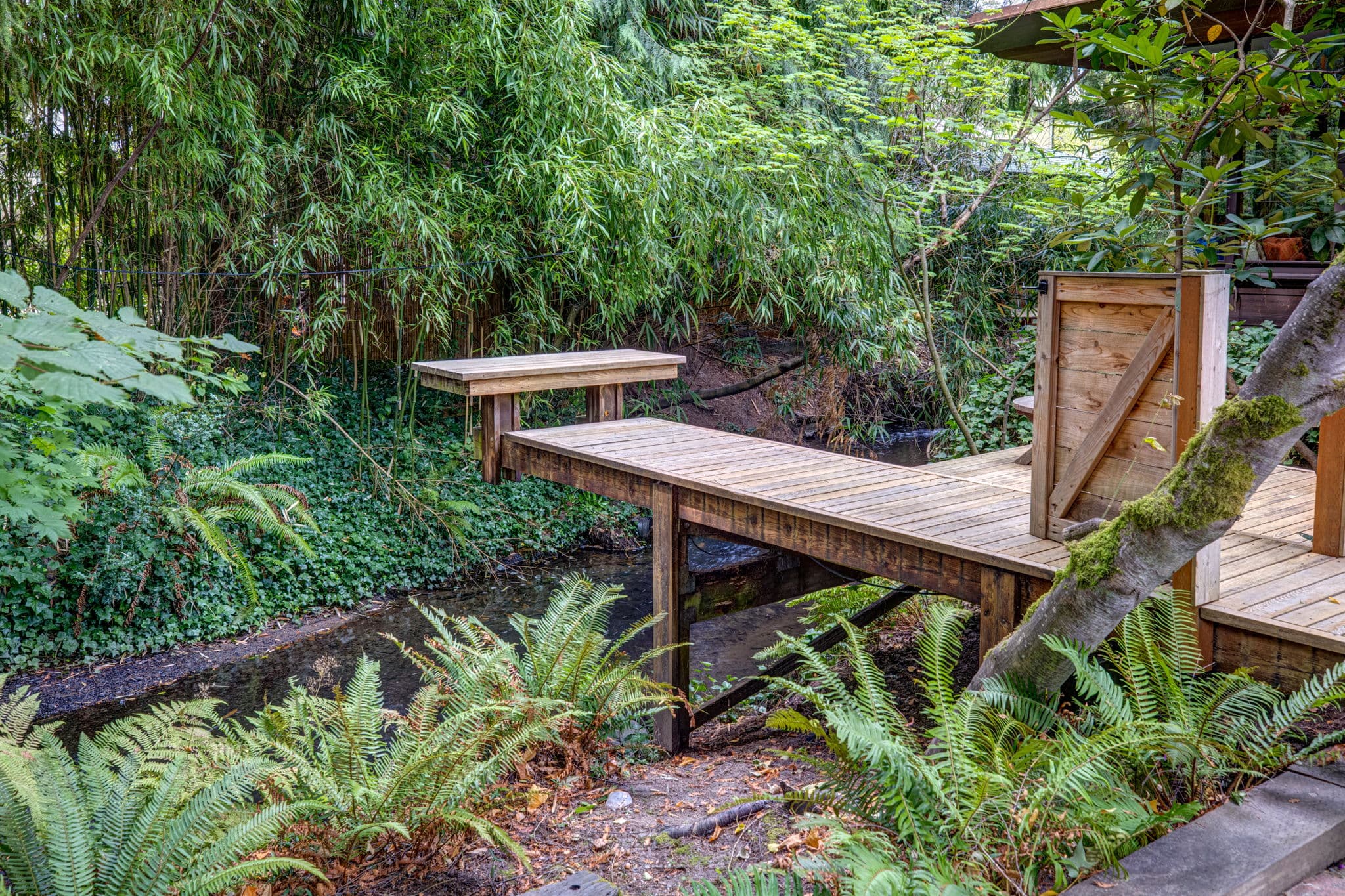 Raised boardwalk running out through the ferns