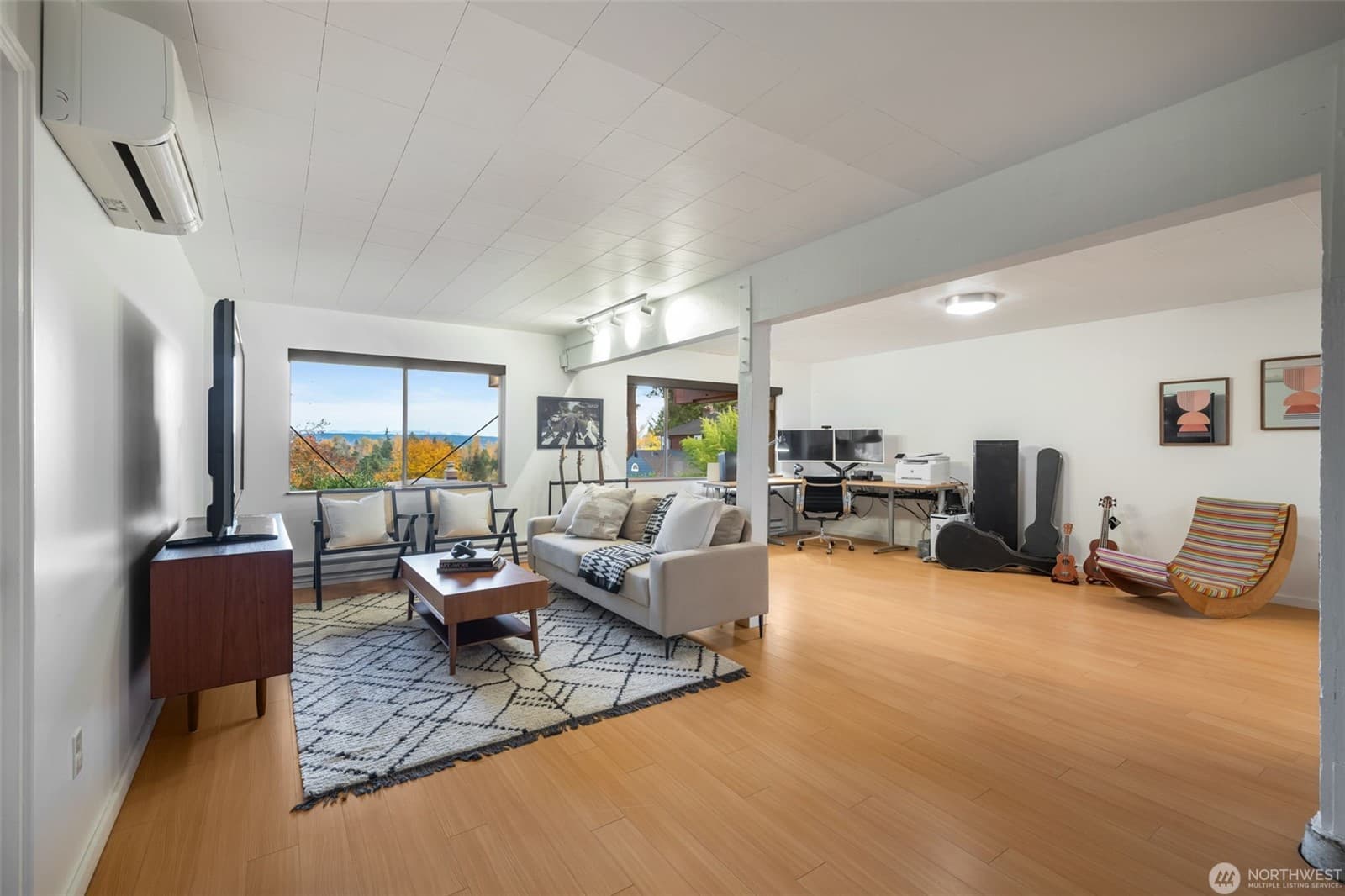 Lower-level rec room running the width of the house